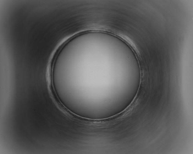 X0000101221128200806270919