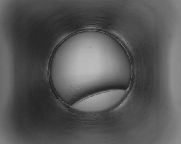 X0000101221129200806270919