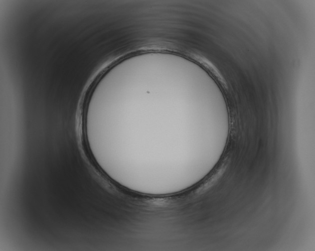 X0000101221130200806270919