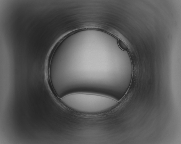 X0000101221132200806270919