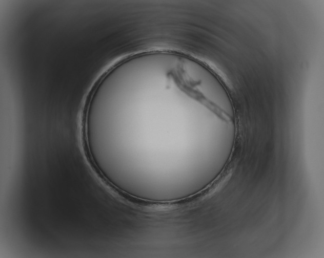 X0000101221134200806270919