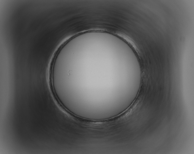X0000101221135200806270919