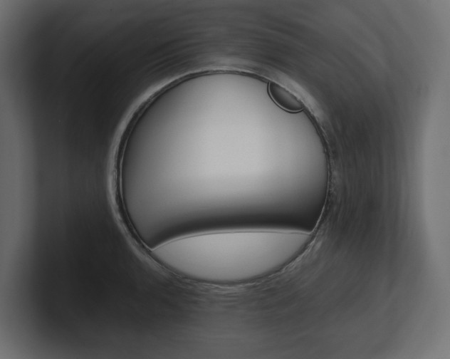 X0000101221136200806270919