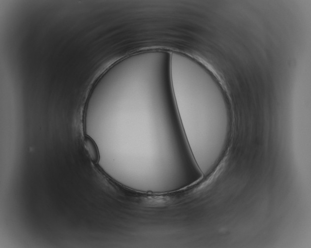 X0000101221137200806270919