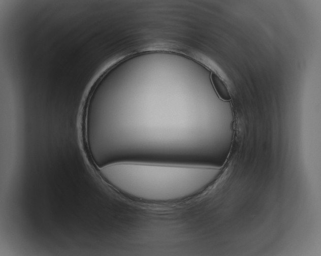 X0000101221138200806270919