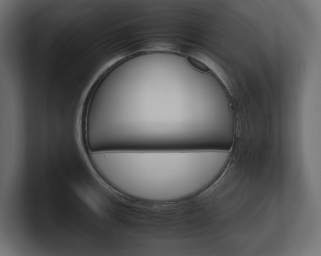 X0000101221139200806270919