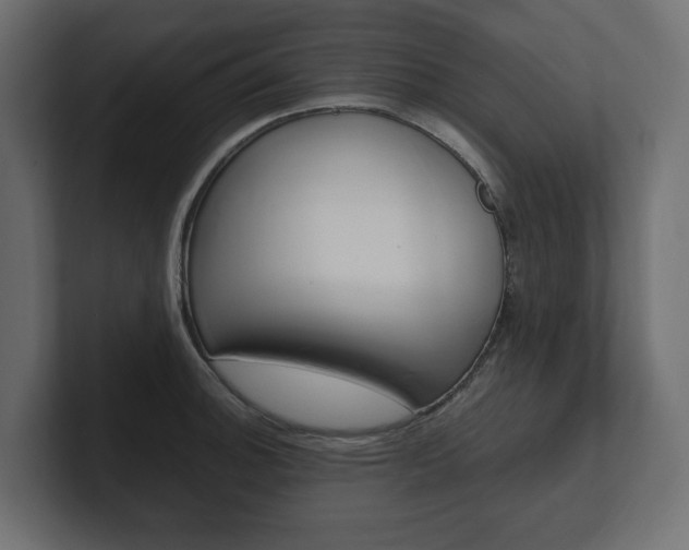 X0000101221140200806270919