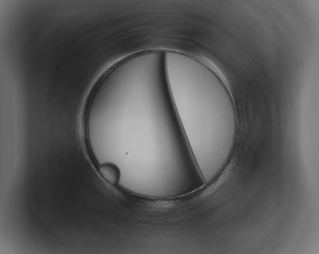 X0000101221141200806270919