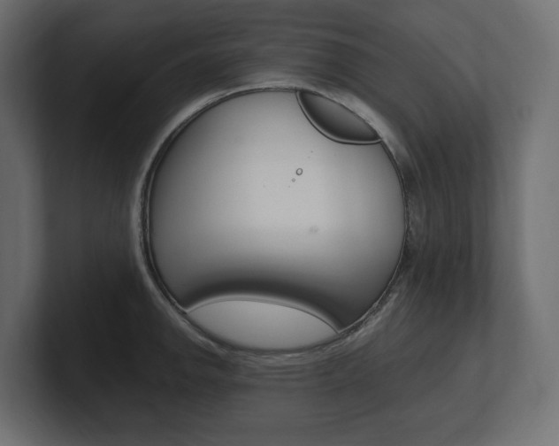 X0000101221142200806270919