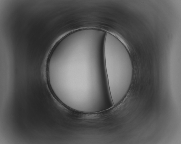 X0000101221143200806270919