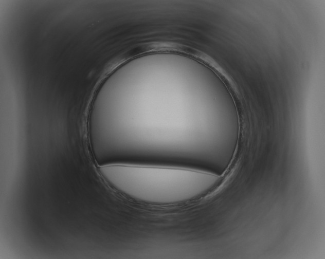 X0000101221145200806270919