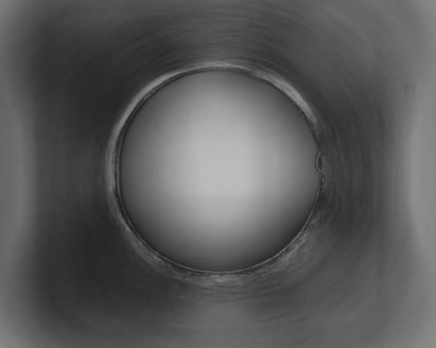 X0000101221148200806270919
