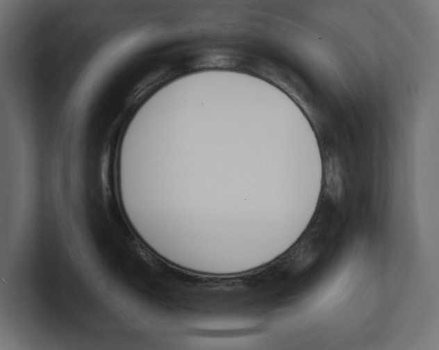 X0000101221150200806270919
