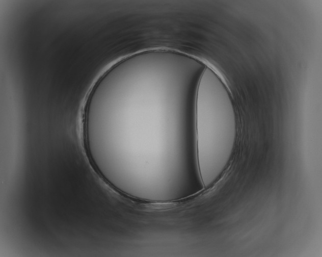 X0000101221151200806270919