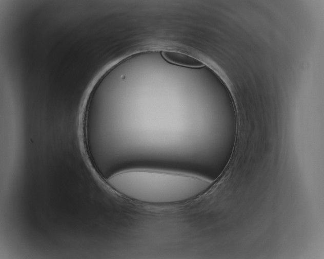 X0000101221152200806270919
