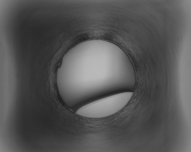 X0000101221153200806270919