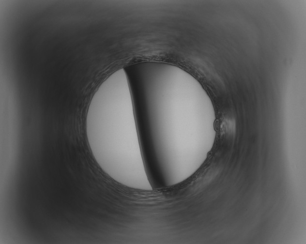 X0000101221156200806270918