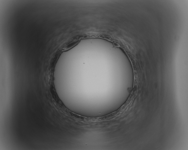 X0000101221157200806270918