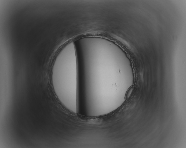 X0000101221160200806270918