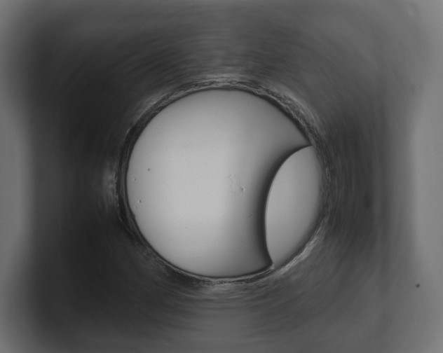 X0000101221162200806270918
