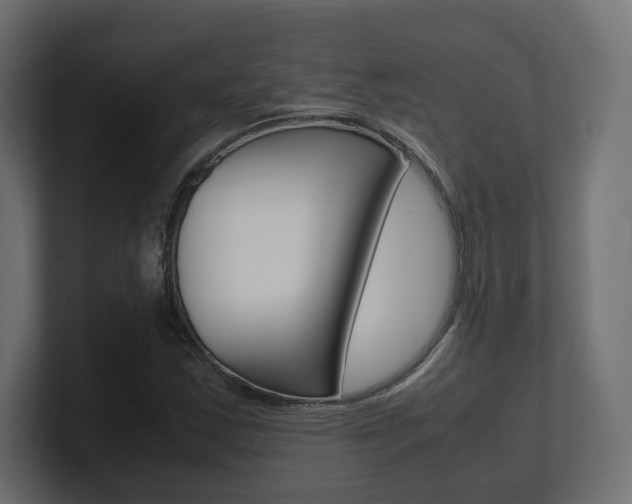 X0000101221163200806270918