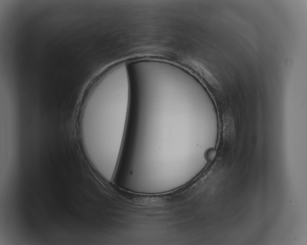 X0000101221164200806270918