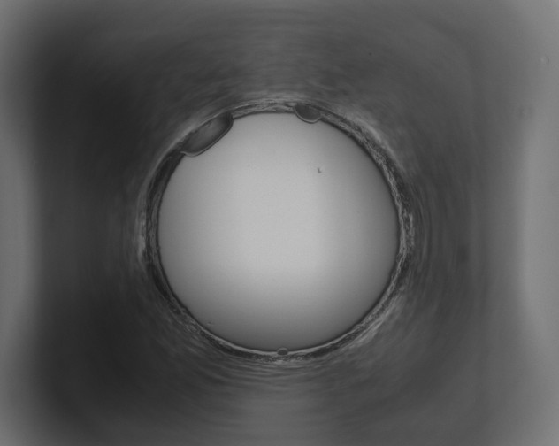 X0000101221165200806270918