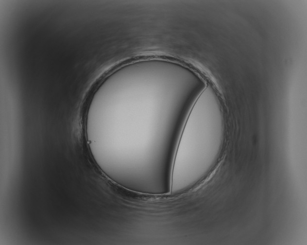 X0000101221167200806270918