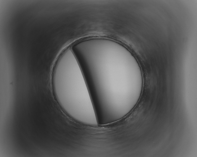 X0000101221168200806270918