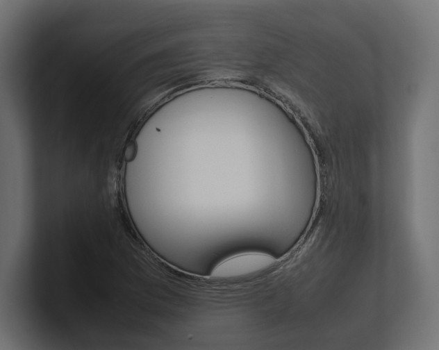 X0000101221169200806270918