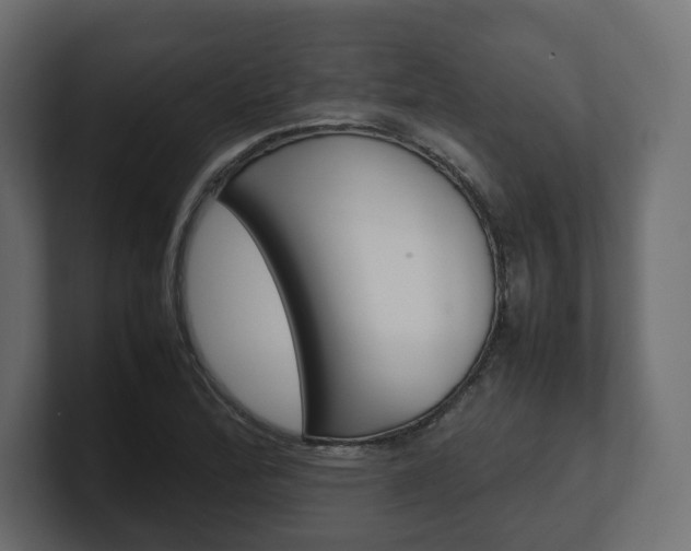 X0000101221172200806270918