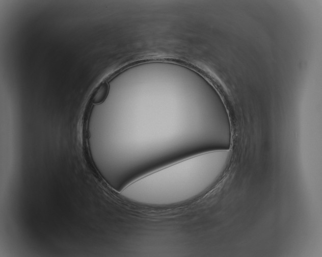 X0000101221173200806270918