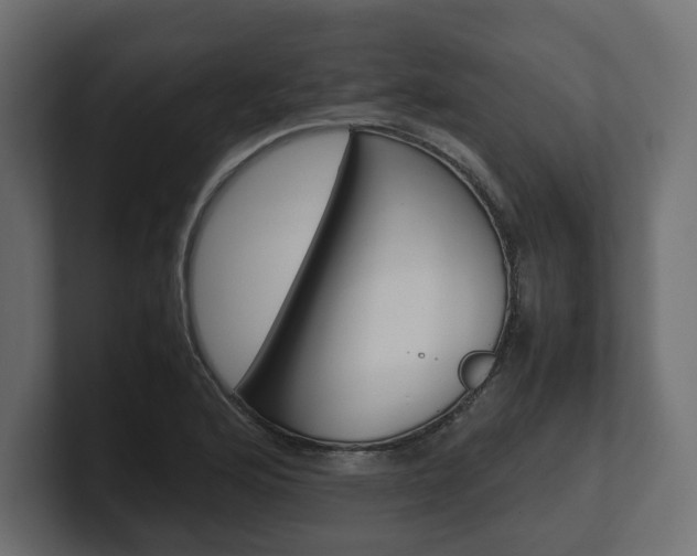 X0000101221176200806270918
