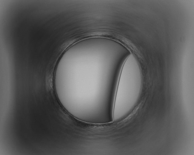X0000101221177200806270918