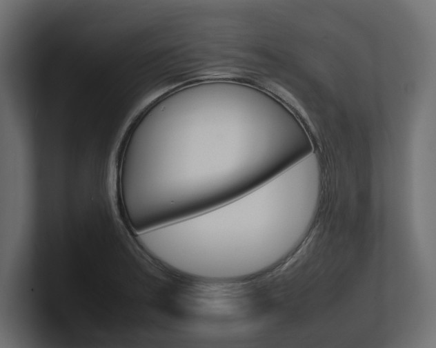 X0000101221179200806270918