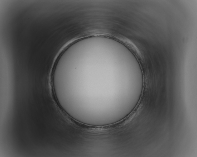 X0000101221182200806270918