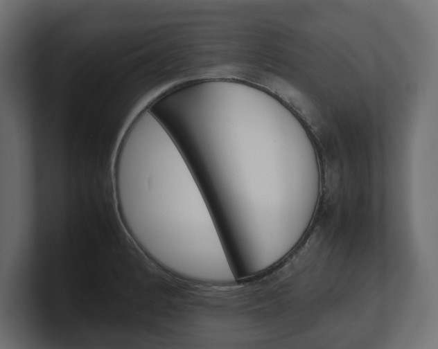 X0000101221184200806270918