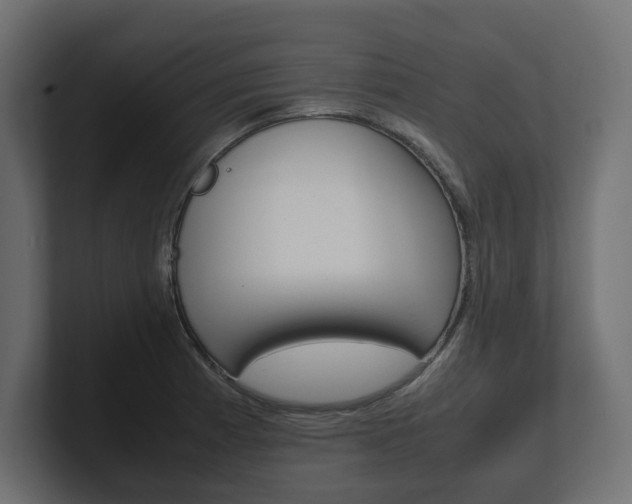 X0000101221185200806270918