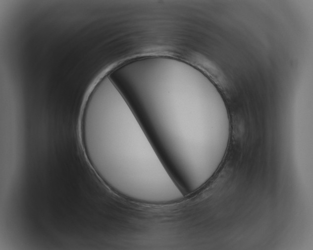 X0000101221188200806270918