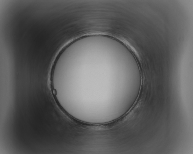 X0000101221189200806270918