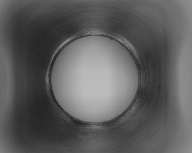 X0000101221190200806270918