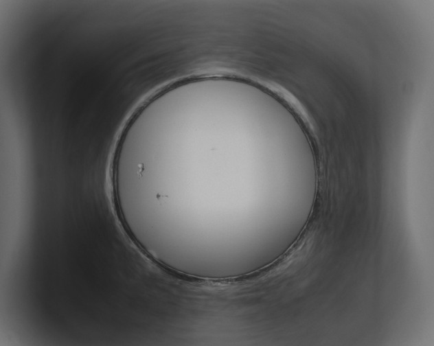 X0000101221191200806270918