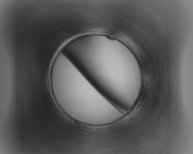 X0000101221192200806270918
