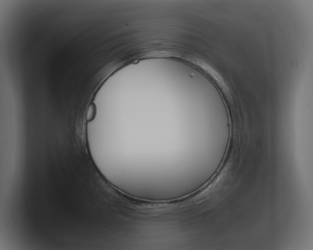 X0000101221193200806270918