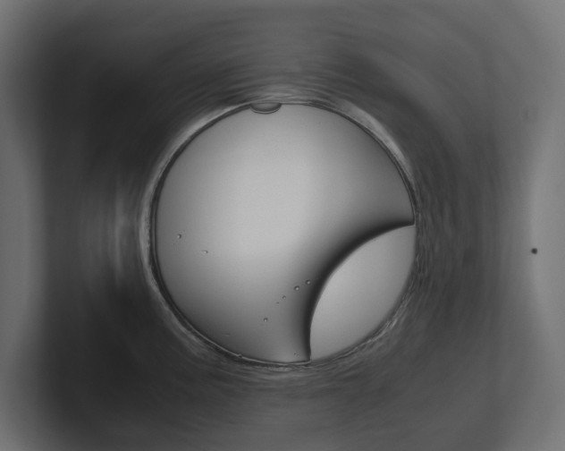 X0000101221195200806270918