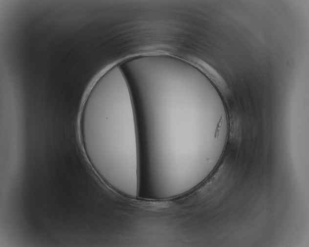 X0000101221196200806270918