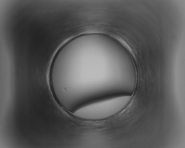 X0000101221197200806270918