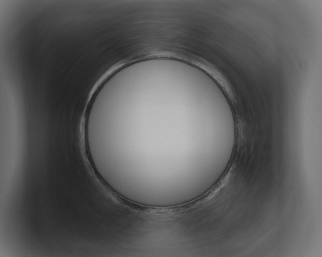 X0000101221198200806270918