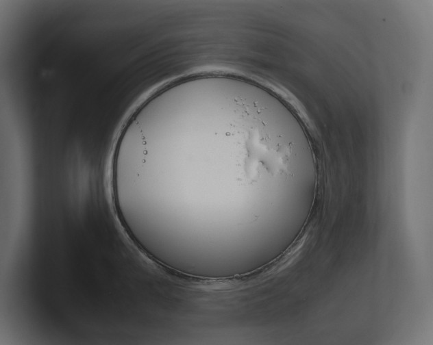 X0000101221199200806270918