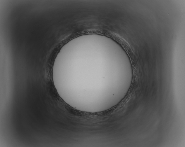 X0000101221207200806270917